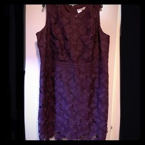 NWT Loft Plus Sleeveless Lace Dress